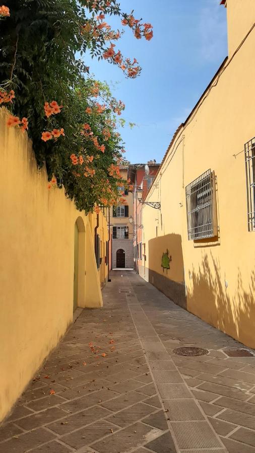 Casa Campanella Pisa Exterior photo